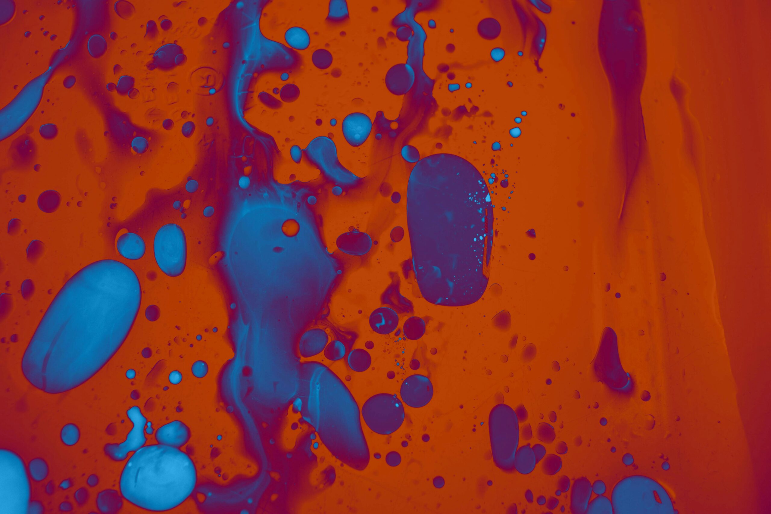 Federated Learning vs Data Clean Rooms: Why Sherpa.ai Offers the Most Advanced Solution for Secure and Efficient Data-Driven Collaboration